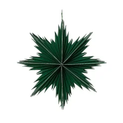 Addobbi natalizi sospesi in carta (D30 cm) Stella ghiacciata Verde rosmarino
