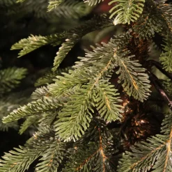 Albero di Natale artificiale (H210 cm) Sierra Verde abete