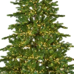 Albero di Natale artificiale luminoso 3000 LED (H180 cm) Caucasia Nordmann Verde abete