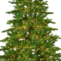 Albero di Natale artificiale luminoso 4000 LED (H210 cm) Caucasia Nordmann Verde abete
