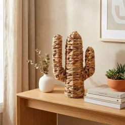 Cactus deco (35 cm) Haci