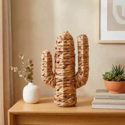 Cactus deco (35 cm) Haci