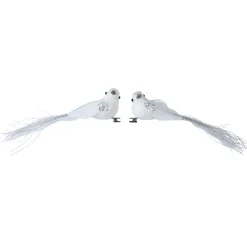 Confezione di 2 uccelli du Paradis Bianco