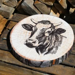 Cuscino per sedia rotondo (38 x 38 cm) Sallanches Marrone
