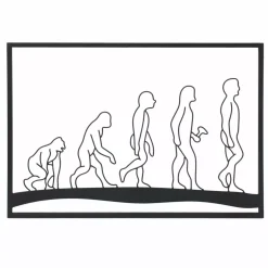 Decorazione murale in metallo (70 x Alt 50 cm) Evolution Nero