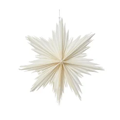 Decorazione natalizia sospesa in carta (D30 cm) Stella ghiacciata Bianca