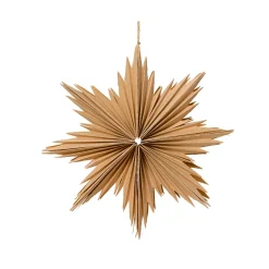 Decorazione natalizia sospesa in carta (D30 cm) Stella ghiacciata Naturale