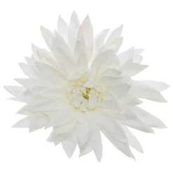 Fiore decorativo su clip (D15 cm) Dahlia Bianco glitterato