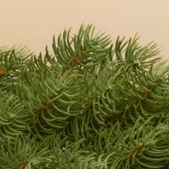 Ghirlanda di abete (180 cm - D25) Utah Luxe Verde