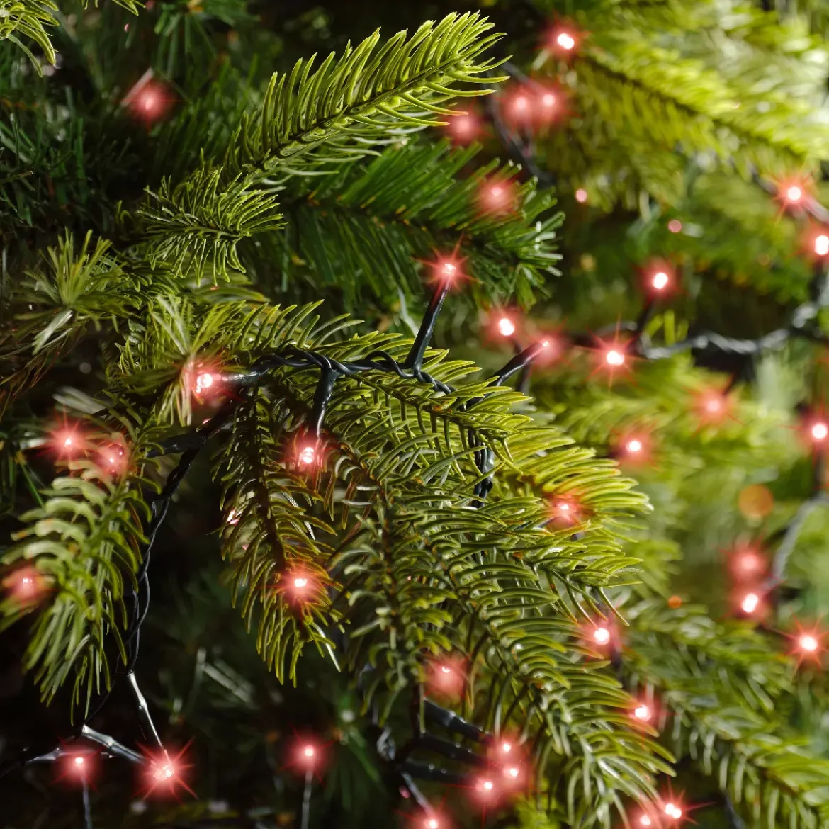 Ghirlanda di luci 22,5 m 1000 LED cavo verde NewLuxe Rosso
