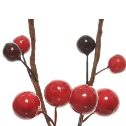 Gruppo di rami Billa Rosso
