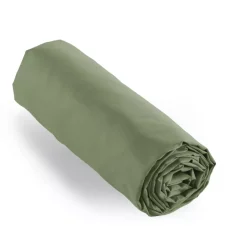 Lenzuolo con angoli percalle di cotone (90 cm) Cali Verde rosmarino