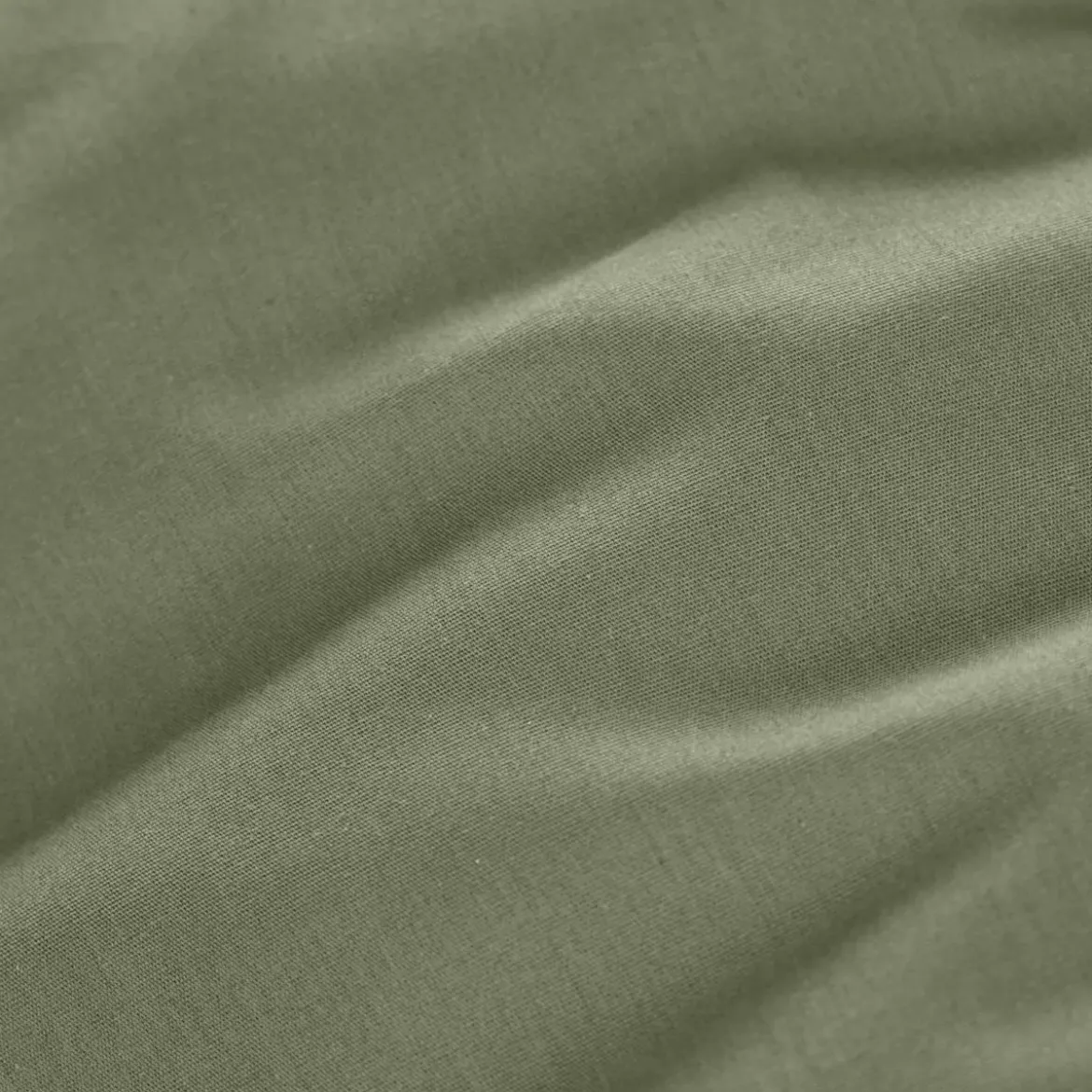 Lenzuolo con angoli percalle di cotone (90 cm) Cali Verde rosmarino