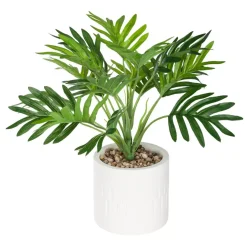 Palma in vaso Etnik Verde