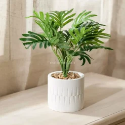 Palma in vaso Etnik Verde