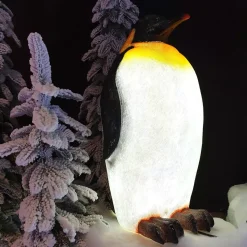 Pinguino luminoso fibra di vetro 8 LED (50 cm) Zélian Bianco freddo