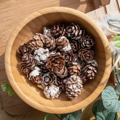 Sacchetto di pigne (45 g) Naturale