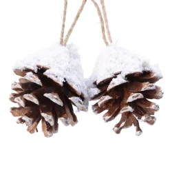 Set di 2 pigne Pini Naturale