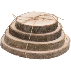 Set di 4 tronchi decorativi Paulownia Naturale