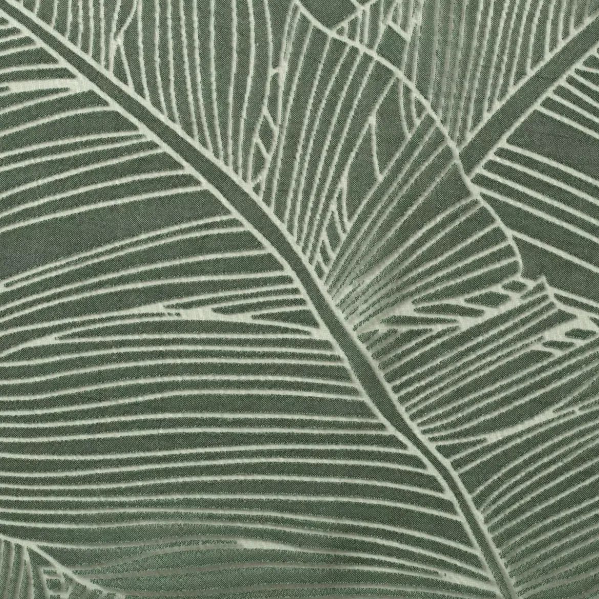 Tenda trasparente (140 x 240 cm) Feuilles Verde cedro