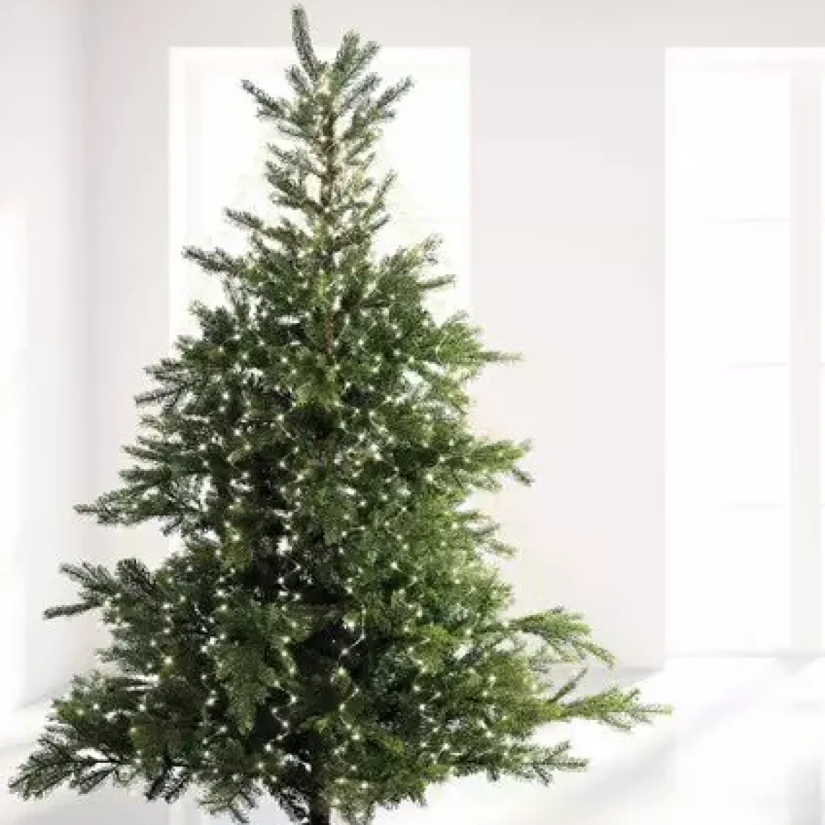 Tenda per albero Alt.2,40 m Bianco freddo 832 LED